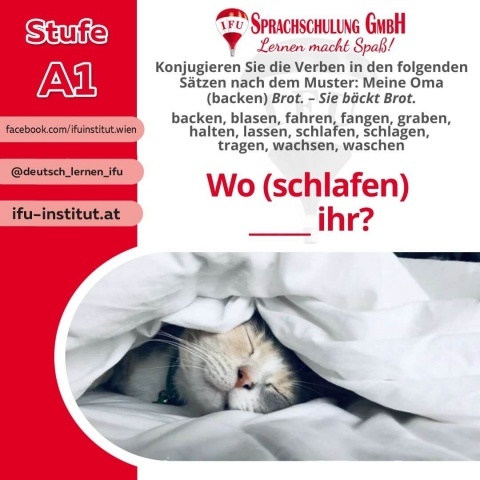  - Foto