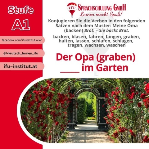  - Foto