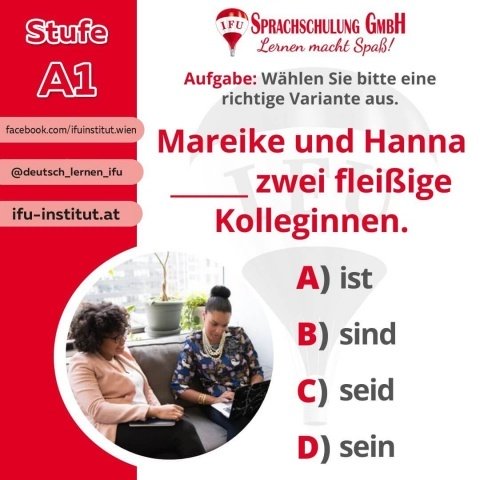 - Foto