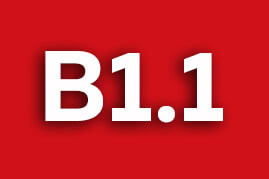 Fragen für Niveau B1.1