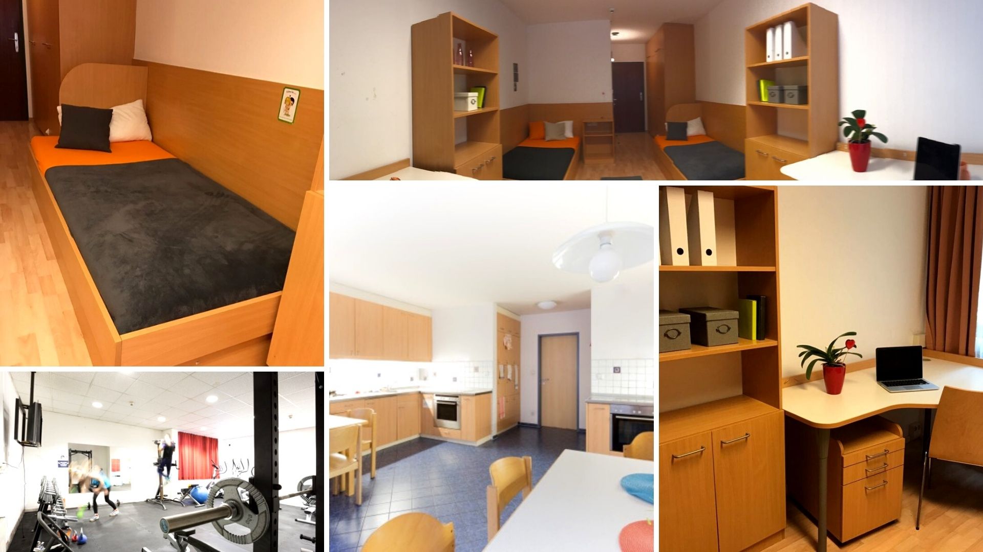 HAUS BURGENLAND 2 | IFU Sprachschulung