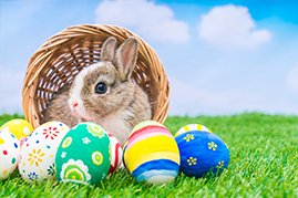 Wie der Hase zum Ostersymbol wurde