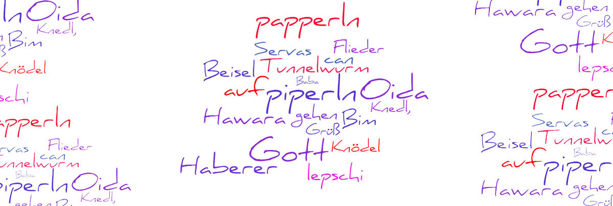 Words and Phrases You Cannot Do Without in Vienna