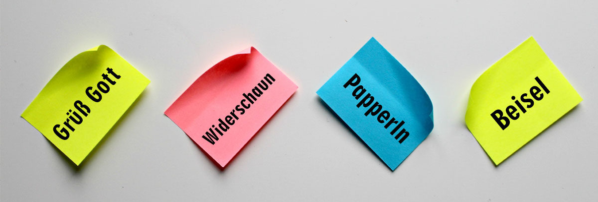Words and Phrases You Cannot Do Without in Vienna